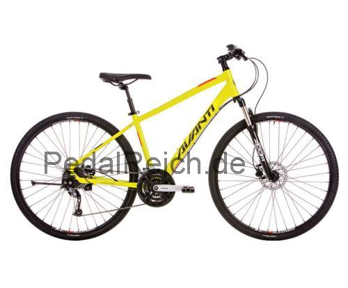 Avanti Discovery 3  technische daten 
